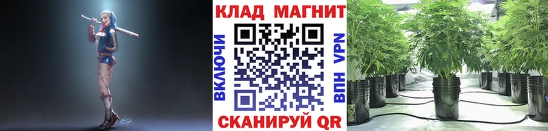 Магазин наркотиков Талдом Каннабис  Мефедрон  Кокаин  Псилоцибиновые грибы  ГАШ  APVP 