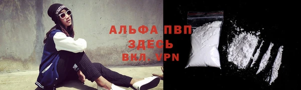 прущие крисы Аркадак