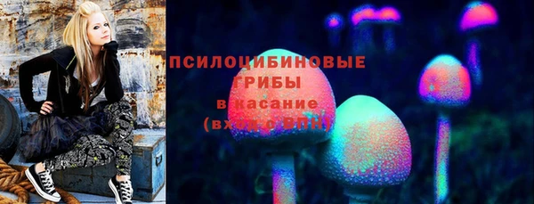 прущие крисы Аркадак
