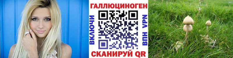 Галлюциногенные грибы Magic Shrooms  Талдом 